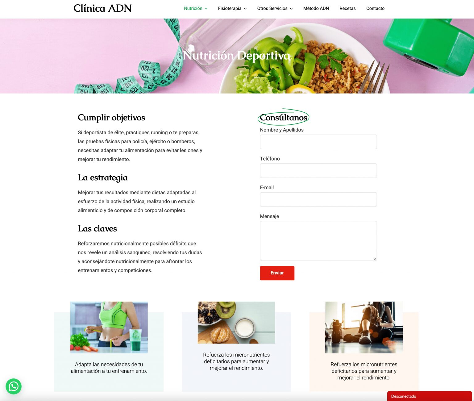 3.-Nutrición-Deportiva-1536×1299